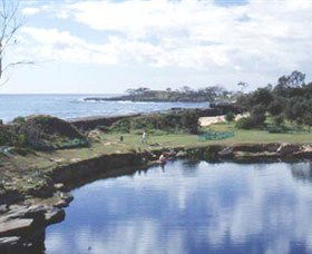 Angourie Blue Pool - Accommodation Port Hedland 1