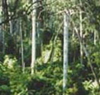Lind National Park - Accommodation Port Hedland