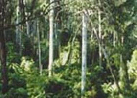 Lind National Park - Accommodation Port Hedland 0