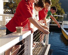 Dunbogan Boatshed - Accommodation Port Hedland 3