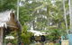 Diamond Waters Garden Nursery - thumb 0
