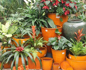 Diamond Waters Garden Nursery - Accommodation Port Hedland 1