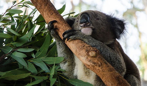 Macquarie Nature Reserve - Accommodation Port Hedland 0