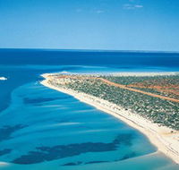 Monkey Mia - Accommodation Port Hedland