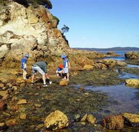 Sapphire Coast Marine Discovery Centre - Accommodation Port Hedland