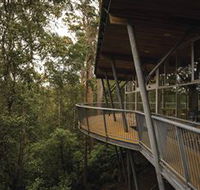 Tarkine Forest Adventures - Dismal Swamp - Accommodation Port Hedland
