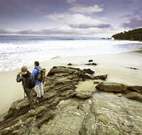 Wilderness Coast Walk - Accommodation Port Hedland