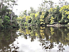 Arthur River TAS Accommodation Port Hedland