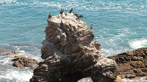 Ben Boyd National Park - Accommodation Port Hedland 2