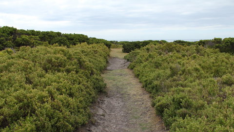 Ben Boyd National Park - Accommodation Port Hedland 3