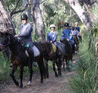 Mirravale Horse Riding School - Accommodation Port Hedland