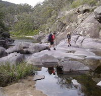 Nadgee Wilderness Walk - Accommodation Port Hedland