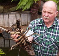 Lobster Ponds - Accommodation Port Hedland