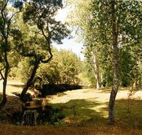 Oldina Picnic Area - Accommodation Port Hedland