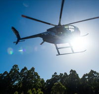 Tall Timbers Adventure Tours - Accommodation Port Hedland