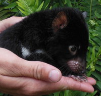 Crawn Motors - Accommodation Port Hedland