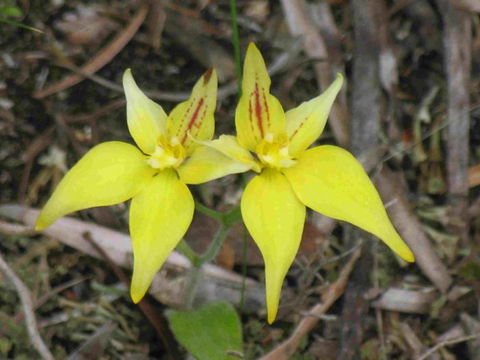 Out Of Sight Tours - Accommodation Port Hedland 31