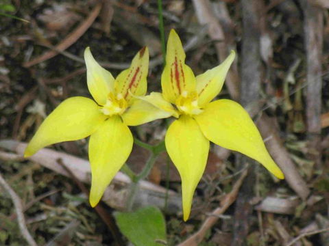 Out Of Sight Tours - Accommodation Port Hedland 32