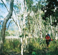 Thorsborne Trail Hinchinbrook Island National Park - Accommodation Port Hedland
