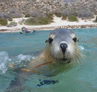Calypso Star Charters - Accommodation Port Hedland