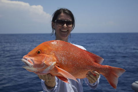 Absolute Ocean Charters - Accommodation Port Hedland 3