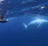 Sunreef Mooloolaba - Accommodation Port Hedland