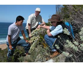 Sapphire Coast Ecotours - Accommodation Port Hedland 1