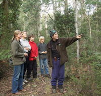 Great Western Tiers Forest Walks Tasmania - Accommodation Port Hedland
