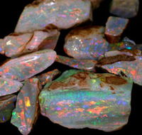 Arid Areas Tours - Accommodation Port Hedland