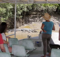 Whitsunday Crocodile Safari - Accommodation Port Hedland
