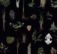 Weswal Gallery - Accommodation Port Hedland