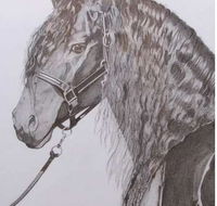 Great Lakes Art Society - Accommodation Port Hedland