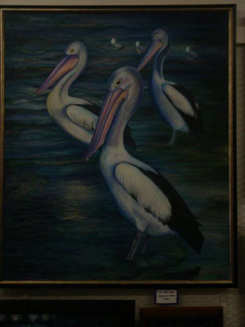 Charlie Moore - Accommodation Port Hedland 0