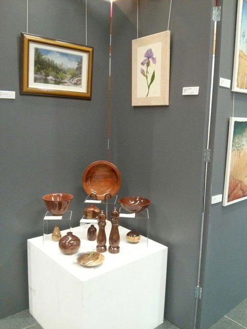 Townsville Art Society Inc - Accommodation Port Hedland 2