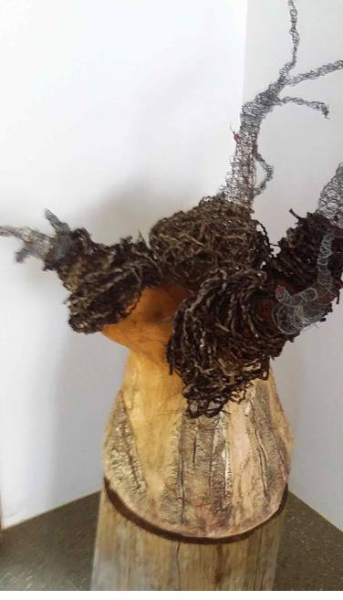 Caldera Wildscapes Gallery - Accommodation Port Hedland 0