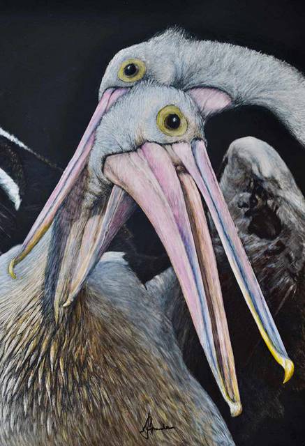 Caldera Wildscapes Gallery - Accommodation Port Hedland 1