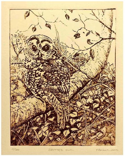 Caldera Wildscapes Gallery - Accommodation Port Hedland 3