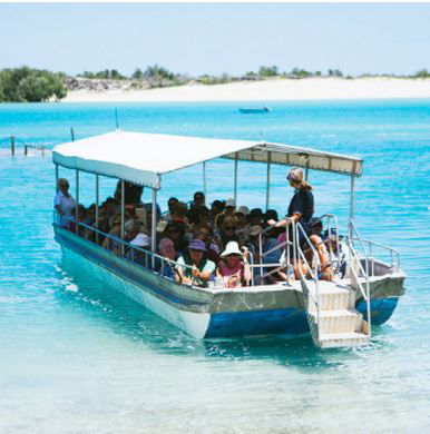 Willie Creek Pearl Farm - Accommodation Port Hedland 0