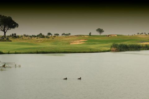 Thorny’s Putt-Putt - Accommodation Port Hedland 1