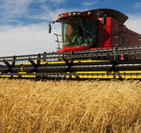 Quirindi Grain and produce - Accommodation Port Hedland