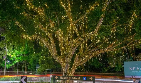 The Sunshine Coast Tour Company - Accommodation Port Hedland 3