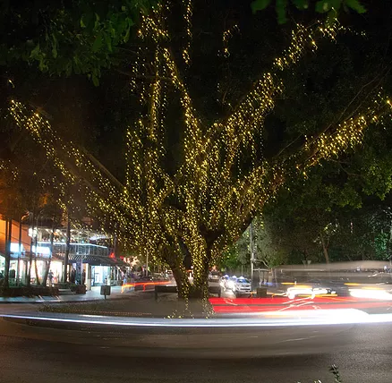 The Sunshine Coast Tour Company - Accommodation Port Hedland 2