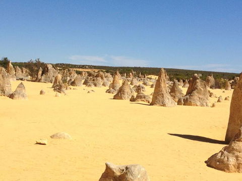 Pinnacles Desert, Koalas And Sandboarding 4WD Day Tour From Perth - Accommodation Port Hedland 15