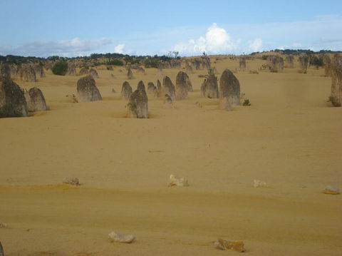 Pinnacles Desert, Koalas And Sandboarding 4WD Day Tour From Perth - Accommodation Port Hedland 23