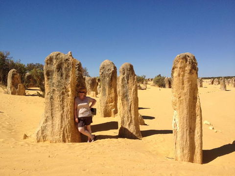 Pinnacles Desert, Koalas And Sandboarding 4WD Day Tour From Perth - Accommodation Port Hedland 17