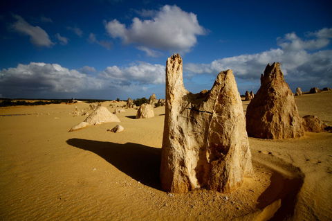 Pinnacles Desert, Koalas And Sandboarding 4WD Day Tour From Perth - Accommodation Port Hedland 6