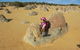 Pinnacles Desert, Koalas And Sandboarding 4WD Day Tour From Perth - thumb 7