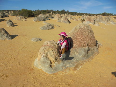Pinnacles Desert, Koalas And Sandboarding 4WD Day Tour From Perth - Accommodation Port Hedland 7