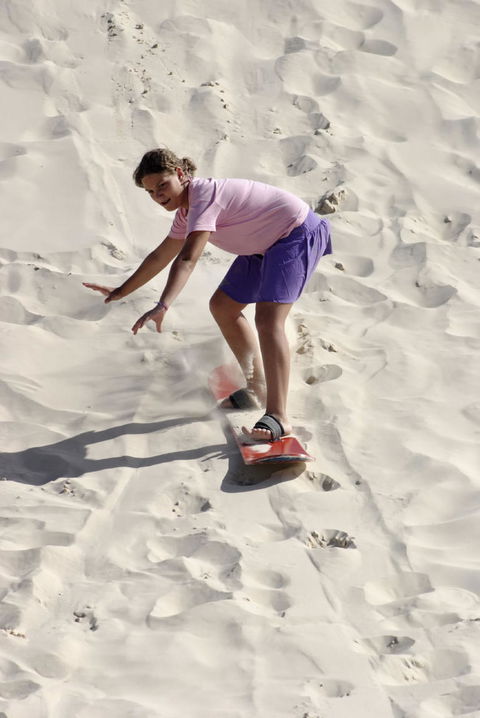 Pinnacles Desert, Koalas And Sandboarding 4WD Day Tour From Perth - Accommodation Port Hedland 24