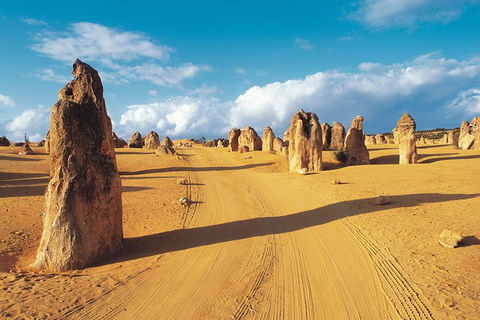 Pinnacles Desert, Koalas And Sandboarding 4WD Day Tour From Perth - Accommodation Port Hedland 0